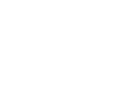 الشحن الجوي